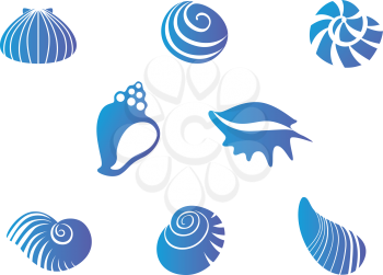 Royalty Free Clipart Image of a Set of Seashells