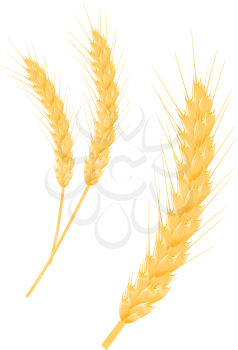 Royalty Free Clipart Image of a Wheat