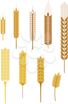 Royalty Free Clipart Image of Ceral Grains