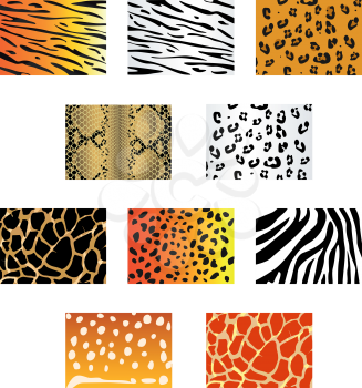Royalty Free Clipart Image of a Set of Animal Prints