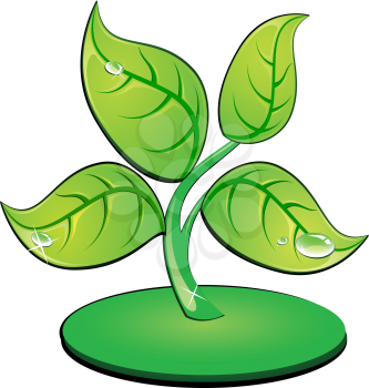 Royalty Free Clipart Image of a Green Leafy Plant