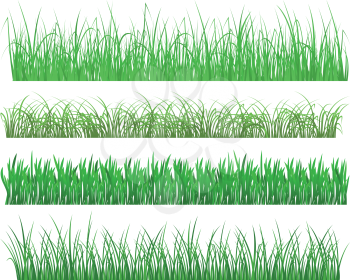 Green grass and plant elements isolated on white background