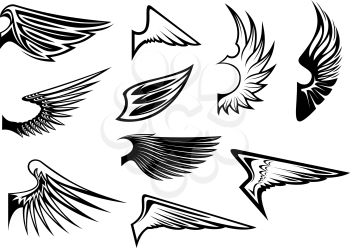 Set of bird wings for heraldry or emblem design