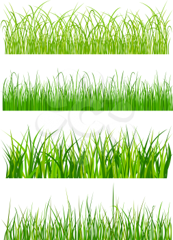 Green grass elements and patterns isolated on white background