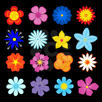 Set of flower blossoms and elements for design and decoration