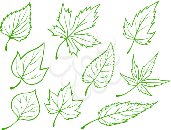 Set of green leaves silhouettes isolated on white background
