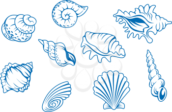 Set of ocean seashells isolated in white background