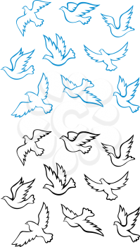 Pigeons and doves birds symbols for peace or wedding concept design