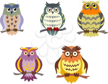Color cartoon owls set in doodle style for funny design