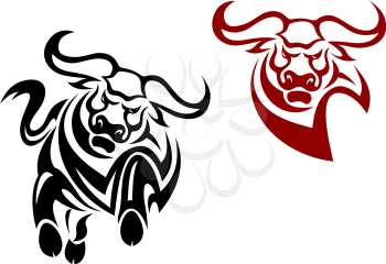 Bull and buffalo mascots isolated on white background