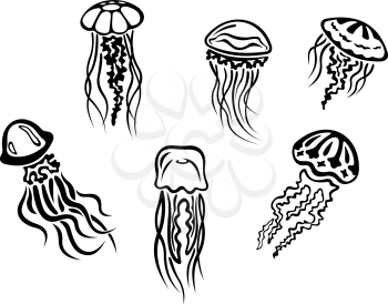 Different underwater jellyfishes set for sealife concept design