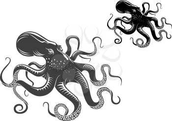 Giant octopus in black and gray color isolated on white background