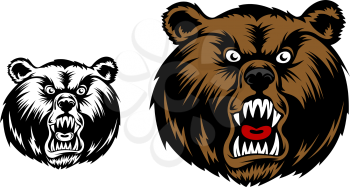 Head of angry bear for mascot design