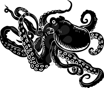 Wild ocean octopus with long tentacles for sealife design