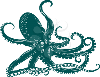 Wild ocean octopus with tentacles for sealife design