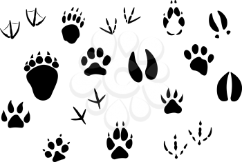 Animal footprints and tracks isolated on white for wildlife concept design