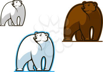 Polar and brown bear for mascot or another design