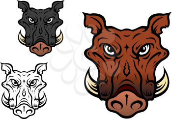 Wild boar or hog in cartoon style for sports team mascot