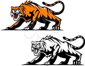 Aggressive tiger in hunting pose for mascot design