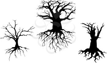 Trees with dead branches and roots isolated on white background. Vector illustration for ecology concept design