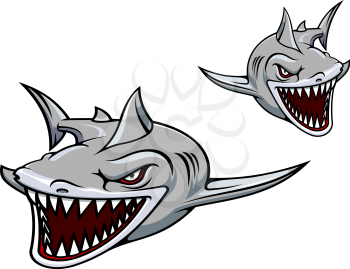 Danger gray shark with sharp teeth. Vector illustration for sport team mascot