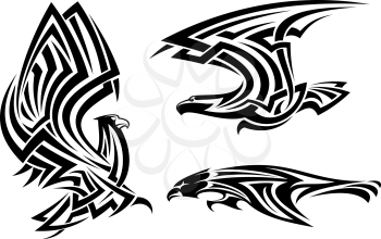Tribal eagle, hawk and falcon set for tattoo or heraldry design