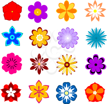 Set of flower blossoms and petals isolated on white background for design