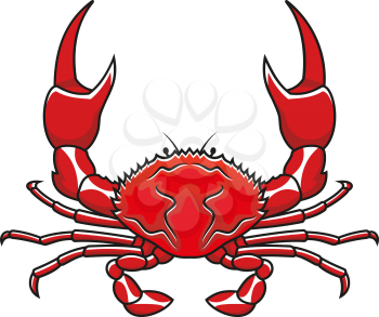 Red crab in cartoon style isolated on white background