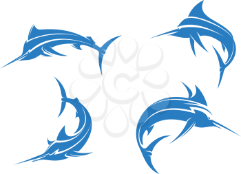 Big blue marlins with sharp nose isolated on white background for fishing sport design