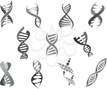 DNA helix or gene and genetic molecule icons set. Deoxyribonucleic acid molecular structure vector isolated symbols for genetics medicine or healthcare research laboratory design