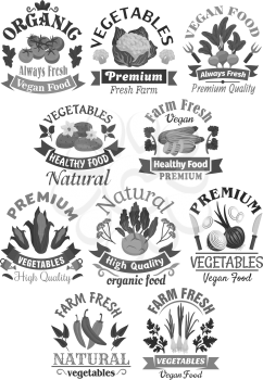 Vegetables vector icons of farm veggies harvest tomato and cauliflower, radish or beet and potato, zucchini squash and corn. Fresh vegan onion, kohlrabi and seasonings for vegetable store