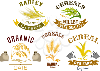 Wheat, rye, oat and millet icon set. Organic farm cereal plant and ear with ripe grains, decorated by ribbon banner for natural healthy food, agriculture and harvest themes design
