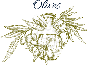 Olive oil jug with fruit sketch. Glass pitcher of olive oil, adorned by olive tree twig with fruit and leaves isolated symbol for healthy food, natural organic oil and mediterranean cuisine design