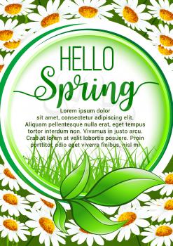 Hello Spring floral frame border. Green leaf frame with spring grass and blooming daisy flowers field on background. Springtime cartoon poster or greeting card design