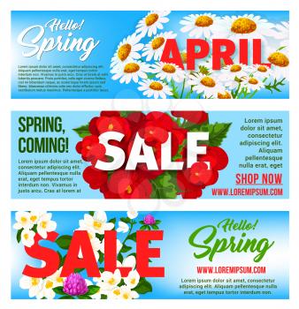 Spring Sale vector banners set with flowers. Springtime holiday shopping promo discount offer design template of blooming spring chamomile daisy, clover bloom and cherry blossom floral petals