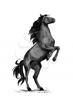 Horse on rears. Wild black mustang racer or stallion trotter rearing. Vector symbol for equine sport races or rides. Racehorse mustang for equestrian sport horserace contest or exhibition