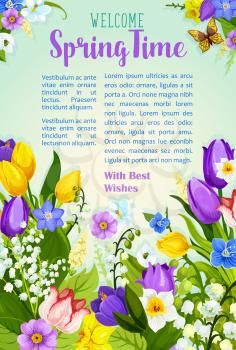 Spring Time vector poster with greetings template and blooming springtime flowers on sunny meadow. Welcome spring season quote with floral design of crocuses, tulips and lily blossoms, narcissus or da