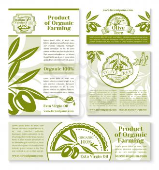 Olives business banner template set. Olive oil farm business card, italian cuisine restaurant brochure, extra virgin oil poster with sketched olive tree branch, fruit and bottle of natural organic oil