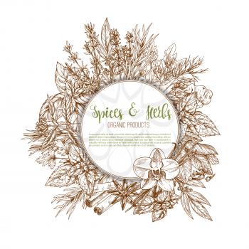 Spices, herbs and leaf vegetable seasoning poster. Pepper, basil, rosemary, thyme, mint, cinnamon, vanilla, clove, parsley, anise, bay, cardamom, dill, ginger, sage and lavender sketch label design
