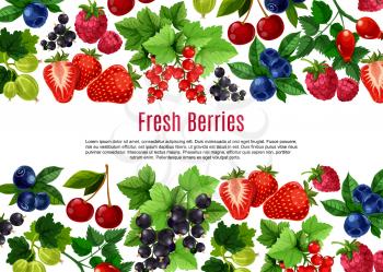Berry and fruit cartoon poster template. Fresh strawberry, cherry, blueberry, currant, raspberry, briar and gooseberry bunches with green leaf and text layout. Food, drink, fruit dessert menu design