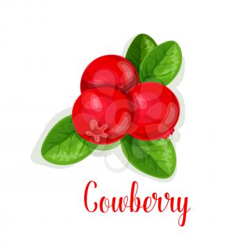 Cowberry icon. Vector isolated lingonberry or berry species. Bunch of fresh sweet partridgeberry fruits on branch for jam dessert or fresh juice label or grocery store and farm market