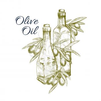 Olive oil sketch of fresh green or black olives and branches. Olive tree fruits and bottles symbol for healthy Italian cuisine or extra virgin sort food product packaging