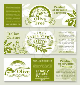 Olive oil product banners templates. Fresh green olive fruits nutrition for healthy Italian cuisine food cooking or extra virgin oil vector packaging and natural organic store
