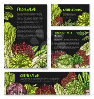 Lettuce salads vector posters templates. Vegetarian food leafy vegetables of chicory and watercress, sorrel and gotukola collard. Farm fresh oakleaf lettuce, arugual and iceberg or pak choi salad