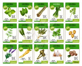 Herbs and spices vector price cards or tags. Shop or store labels for marjoram, cilantro and celery sorrel. Seasonings fennel or savory parsley and green onion or horseradish, lavender and garlic