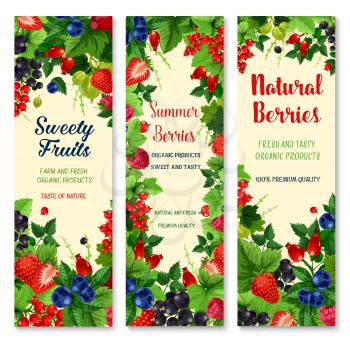 Berries vector banners set. Farm or garden harvest of of blueberry and black currant and cranberry, fresh raspberry and gooseberry. Ripe fruits of strawberry, juicy briar and wild cowberry or redcurra