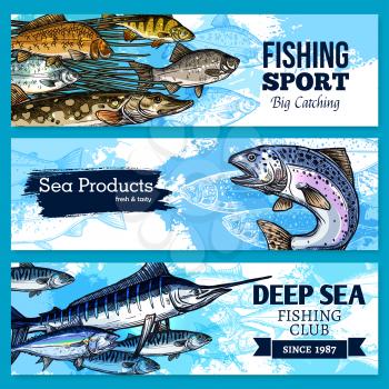 Fishing sport and sea fish products vector sketch banners set. Fisher seafood catch of ocean fishes salmon or trout, herring and bream, tuna or marlin and crucian carp or pike. Fisherman club design