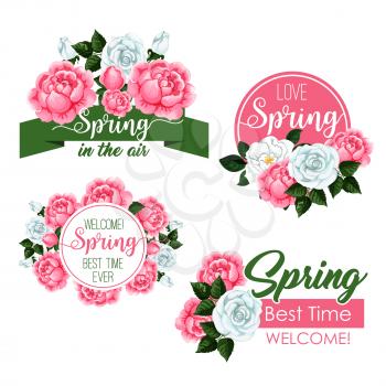 Springtime quotes and flowers design. Vector greeting templates for Welcome Spring and Spring is in the Air with garden pink and white blooming roses and flourish wreath bouquets