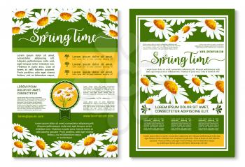 Spring floral poster template. Spring flowers of white daisy with green leaves for springtime holidays greeting brochure, invitation flyer design