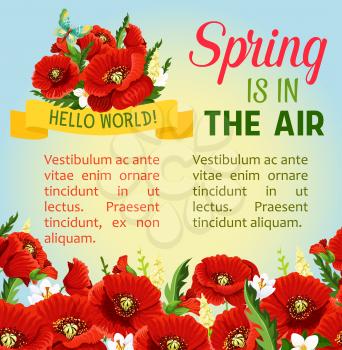 Spring is in the air vector floral poster for springtime holidays. Flowers bouquets design of blooming poppy flowers bunches and jasmine on green spring field with butterflies and greeting quotes